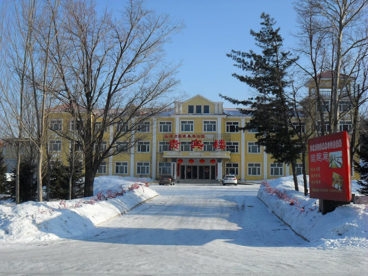 Yabuli National Forest Park Hotel Shangzhi Экстерьер фото